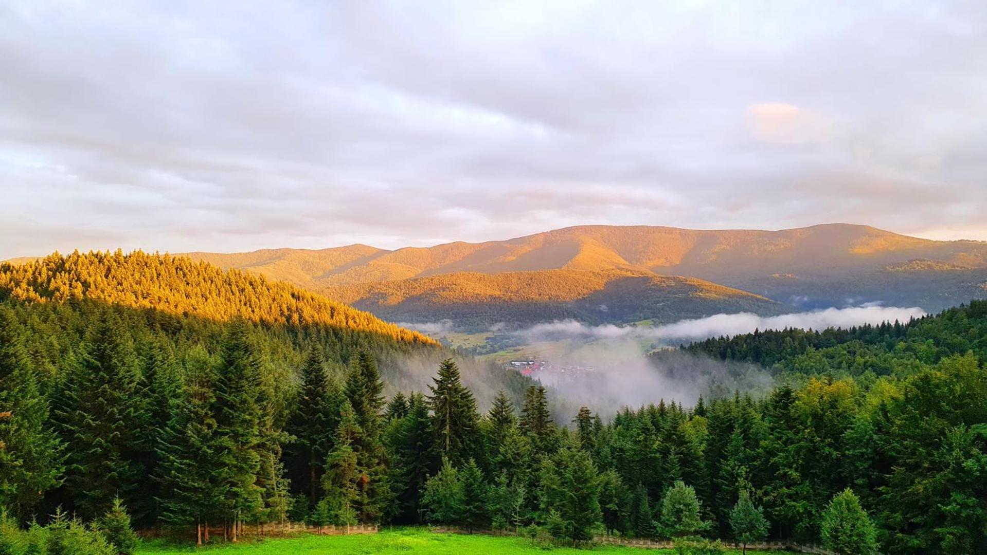 Karmelitanski Dom Goscinny Zawoja Dış mekan fotoğraf