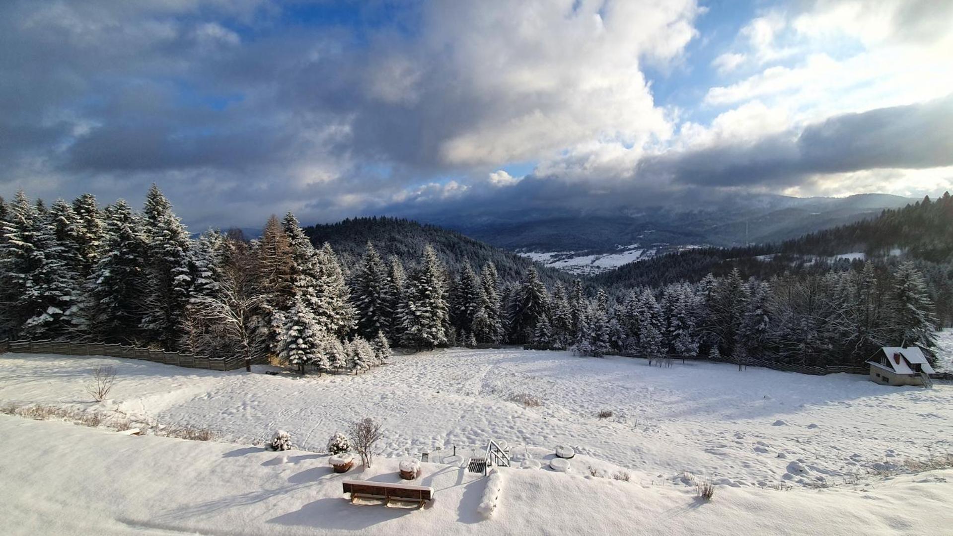 Karmelitanski Dom Goscinny Zawoja Dış mekan fotoğraf
